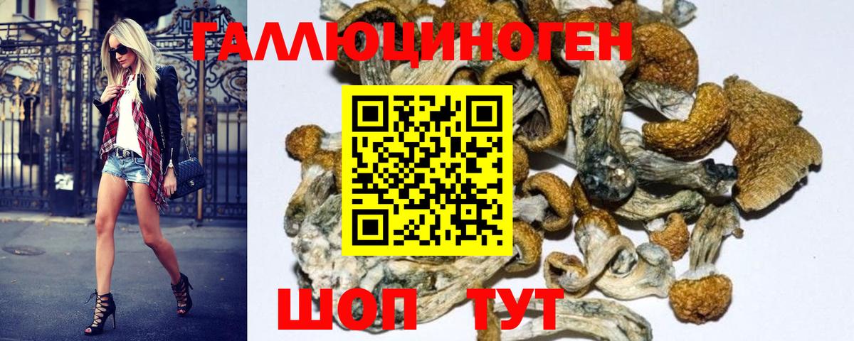 Якутск  Галлюциногенные грибы GOLDEN TEACHER  Вход с VPN 